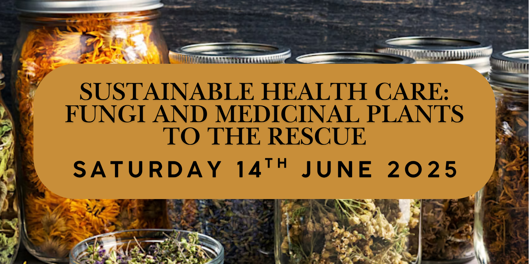 Sustainable Healthcare: Fungi and Medicinal Plants to the Rescue